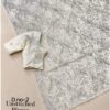 Swasti - offwhite Chandi silk Organza Saree with Embroidery