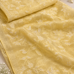 Lena - Applique work Premium Shimmer Organza Saree