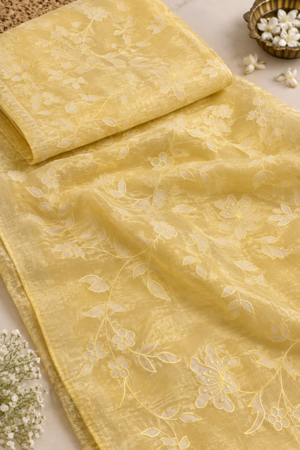 Lena - Applique work Premium Shimmer Organza Saree